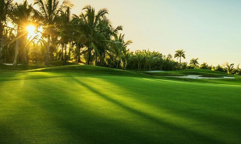 san golf 36 lo chuyen nghiep